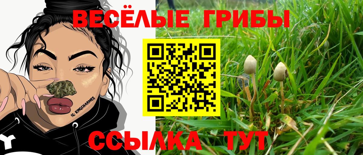 Псилоцибиновые грибы мухоморы  Вход с VPN  Ликино-Дулёво 