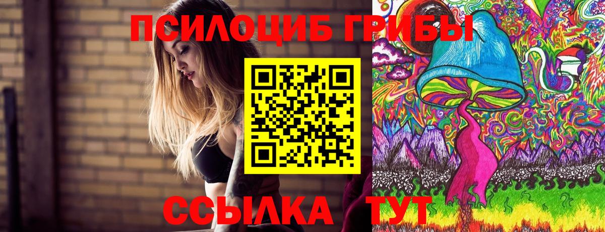Псилоцибиновые грибы мухоморы Ликино-Дулёво